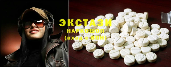 ECSTASY Бородино