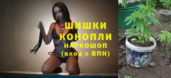 амф Надым