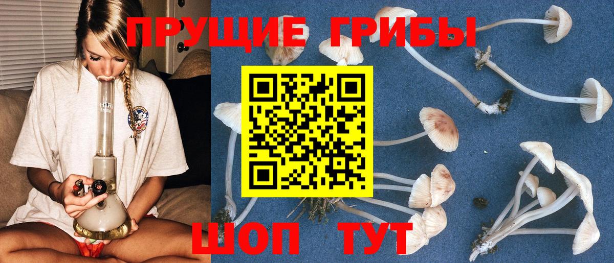 Галлюциногенные грибы ЛСД  хочу   Галлюциногенные грибы Psilocybine cubensis  Сарапул 