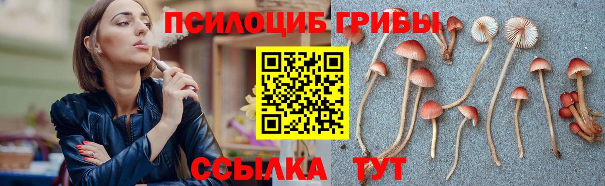 Галлюциногенные грибы мухоморы Сарапул