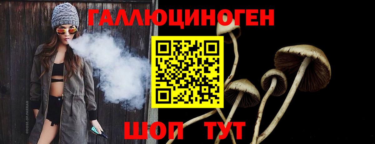 Сарапул  Галлюциногенные грибы MAGIC MUSHROOMS  закладки  Вход с VPN 